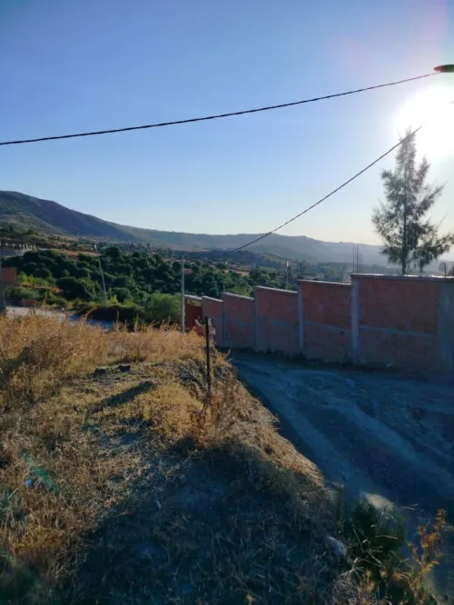 Vente Terrain Blida Djebara
