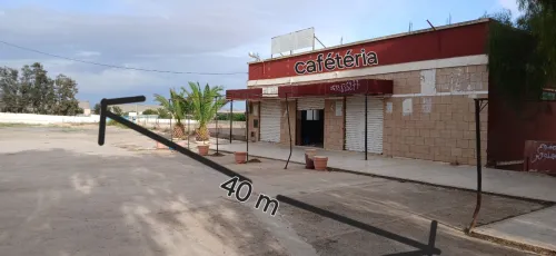Vente Local Sidi Bel Abbès Tilmouni