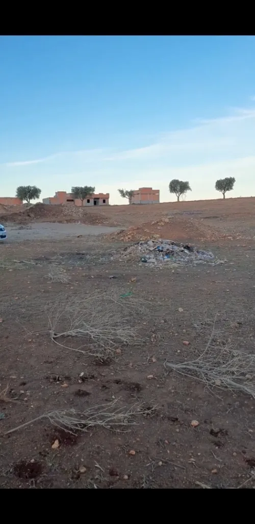 Vente Terrain Tlemcen Sabra
