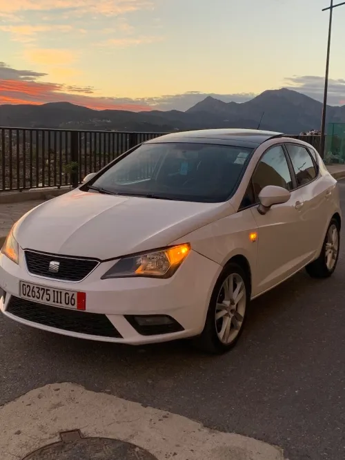 Seat Ibiza 2011 Loca