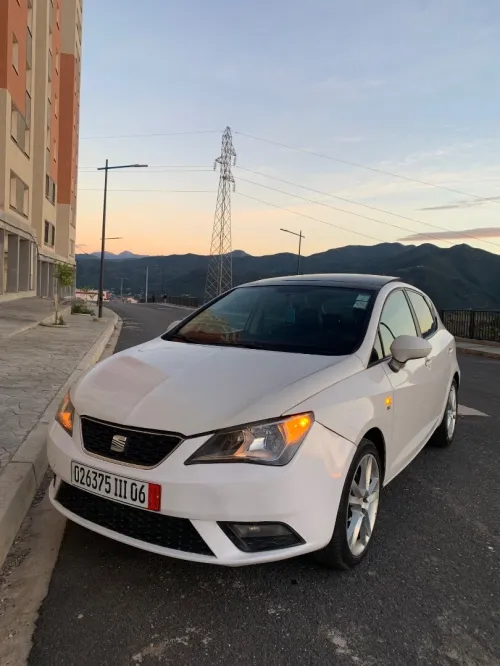 Seat Ibiza 2011 Loca
