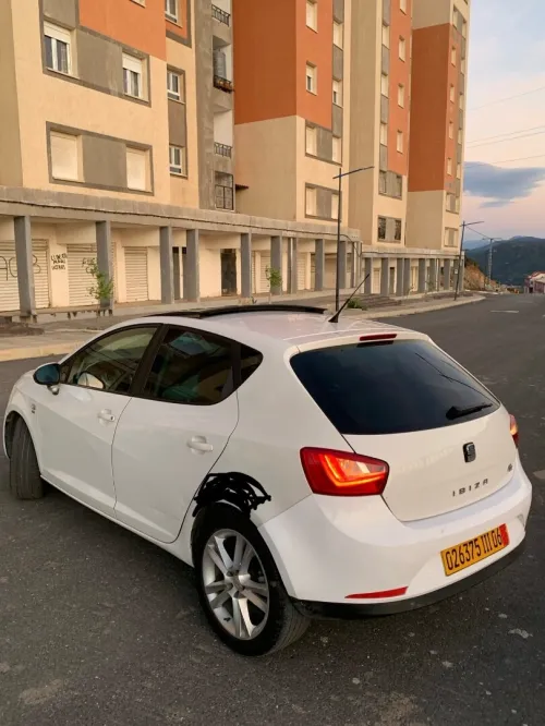 Seat Ibiza 2011 Loca