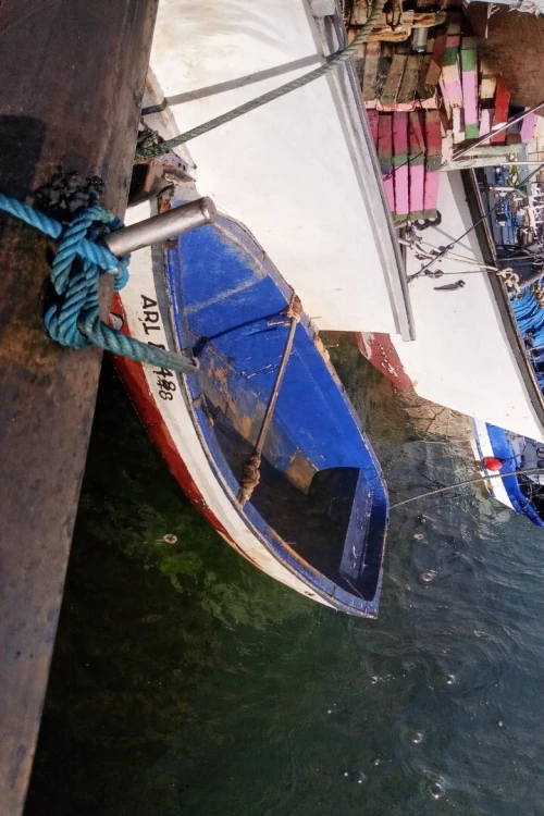 قارب للصيد البحري  sardinier à vendre