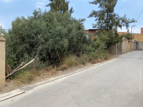 Vente Terrain Blida Bouarfa