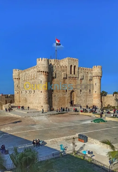  القاهرة  شرم الشيخ والإسكندرية      CAIRE + ALEXANDRIE + SHARM EL SHEIKH