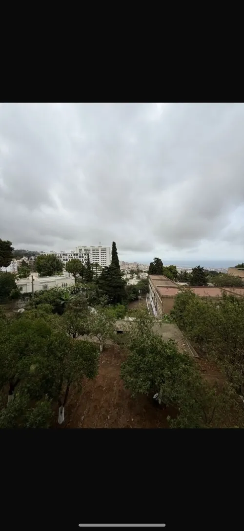 Location Appartement F3 Alger El biar