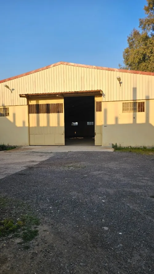 Vente Hangar - Usine Blida Ouled el alleug