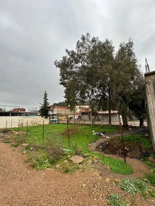 Vente Terrain Blida Oued djer