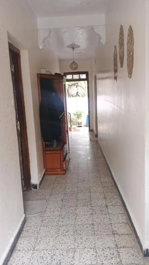 Vente Terrain Blida Bougara