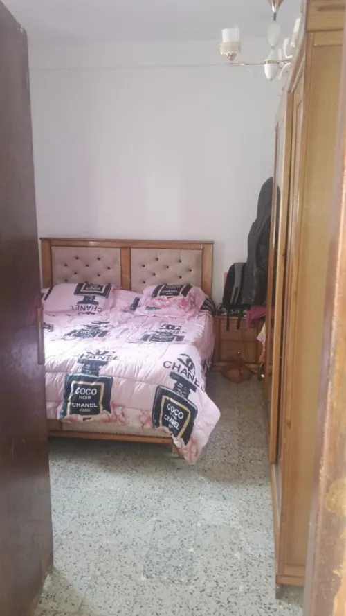 Vente Terrain Blida Bougara 6