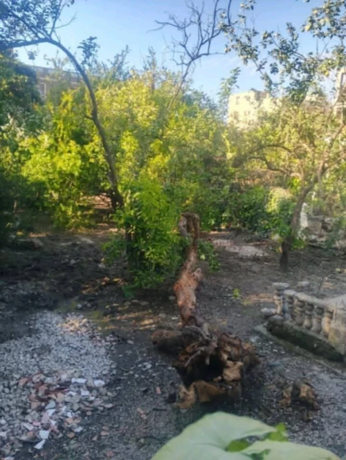 Vente Terrain Blida Bougara 13