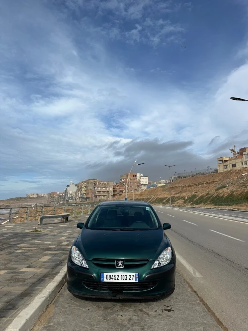 Peugeot 307 2003 XT