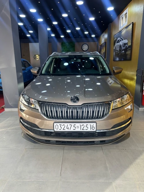 Skoda Karoq 2025 