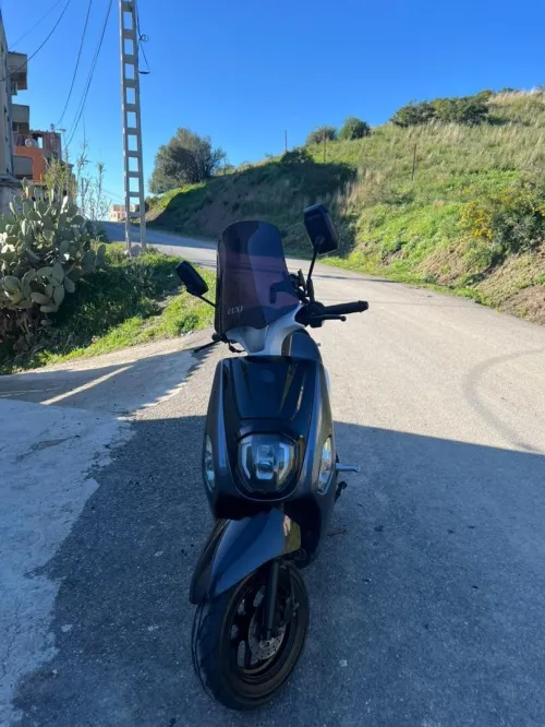 Vms Cuxi estate x 2024