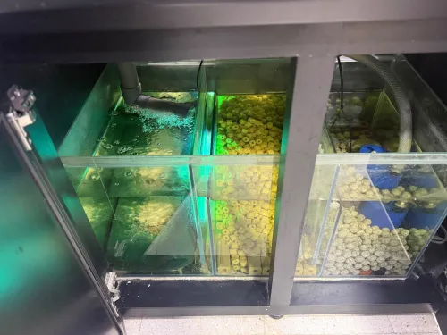 Aquarium