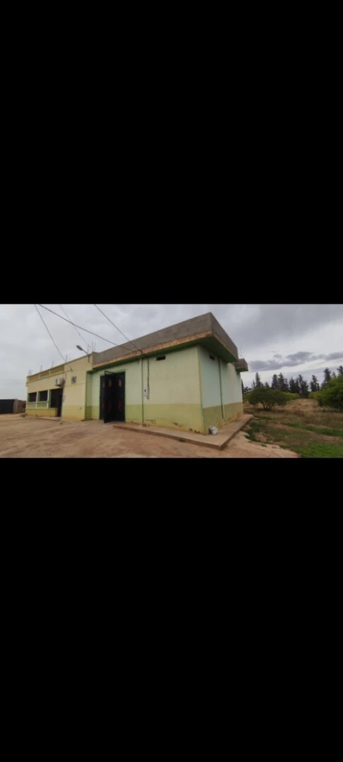 Vente Terrain Tlemcen Maghnia
