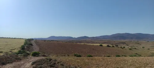 Vente Terrain Tlemcen Maghnia