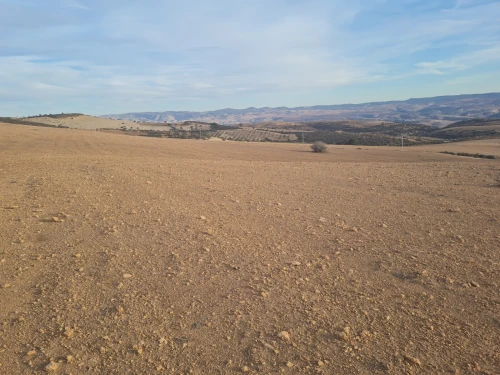 Vente Terrain Agricole Mascara El gaada