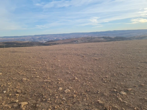 Vente Terrain Agricole Mascara El gaada