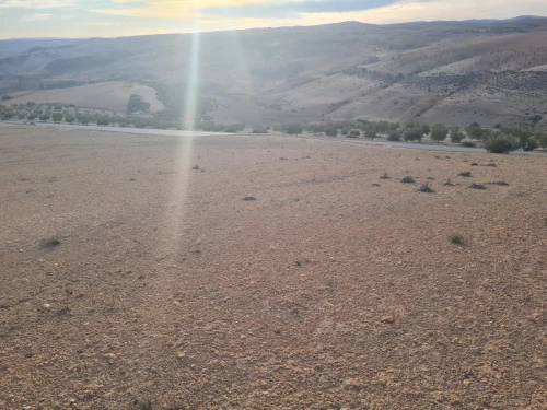 Vente Terrain Agricole Mascara El gaada