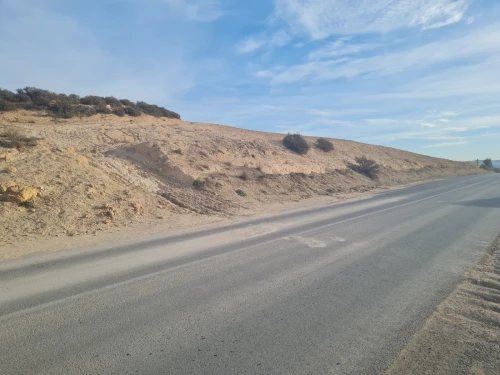 Vente Terrain Agricole Mascara El gaada
