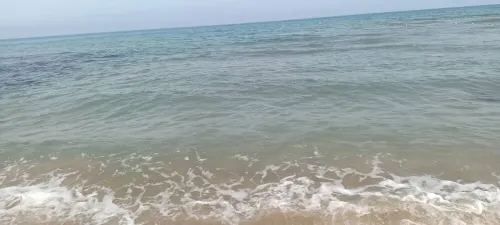 Location vacances Appartement F4 Mostaganem Mezghrane
