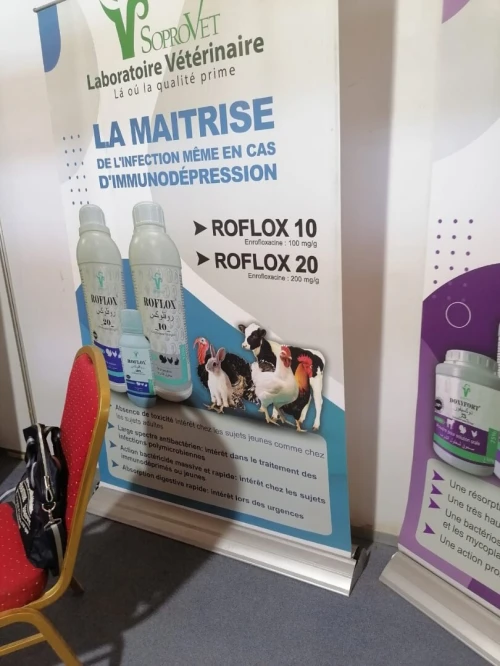 Impression Numérique
