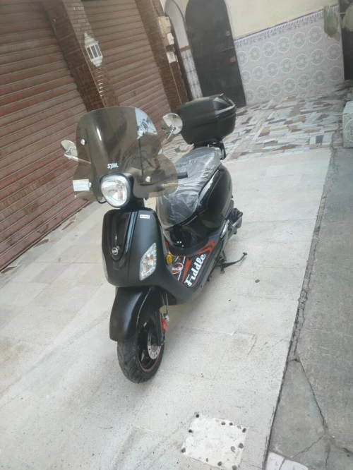 Sym Fiddle 3 2025