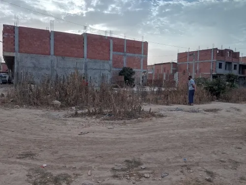 Vente Terrain Alger Sidi moussa
