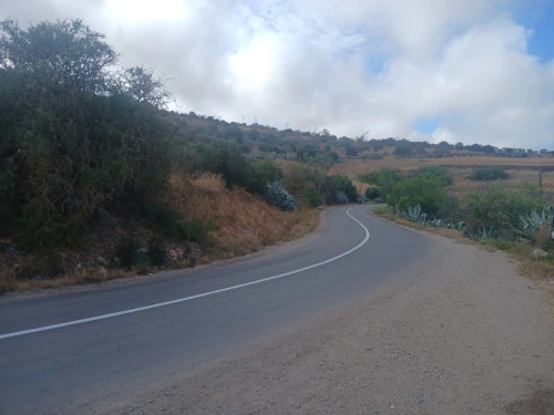 Vente Terrain Aïn Témouchent Oulhaca el gheraba