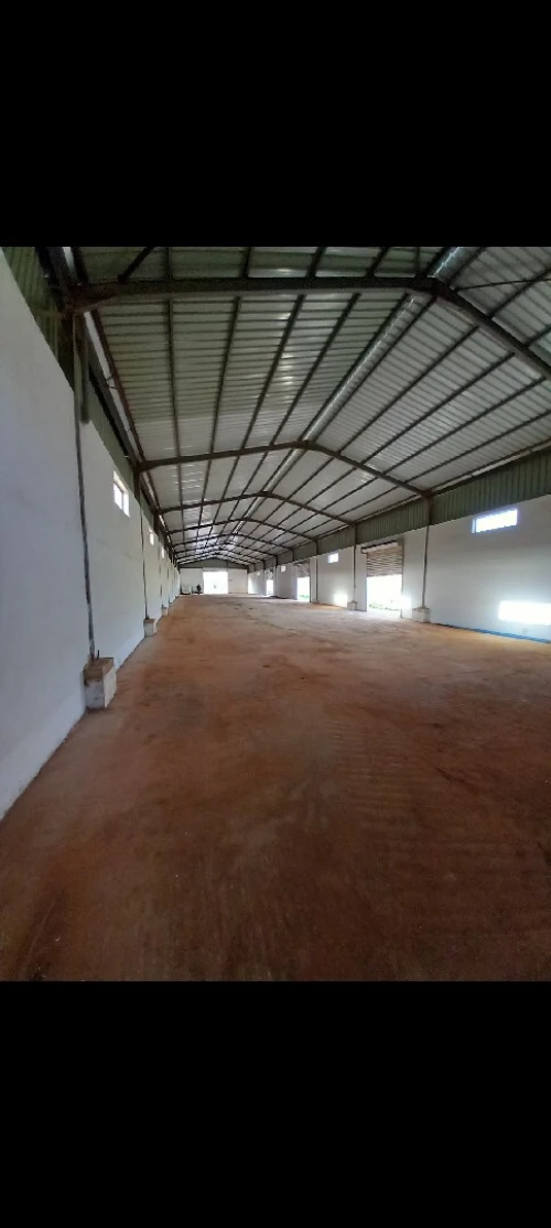 Location Hangar - Usine Constantine Ain smara