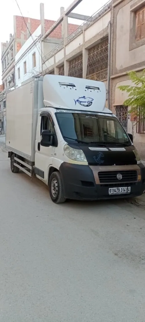 Fiat Ducato frego 2014