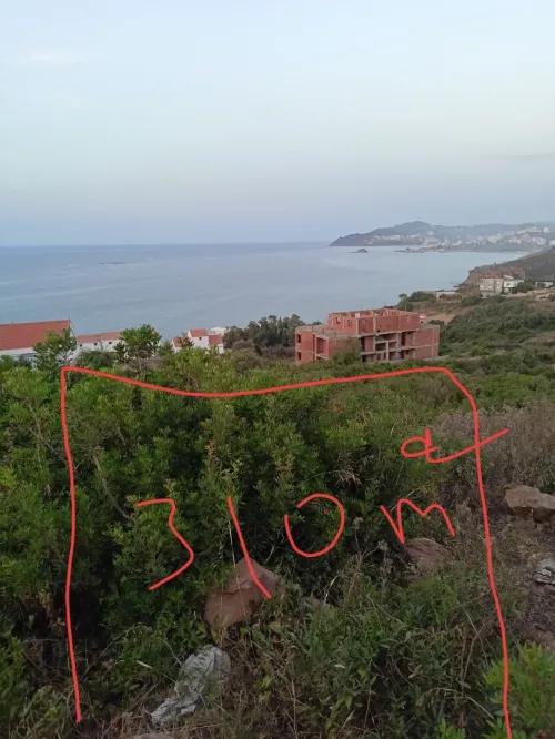 Vente Terrain Tizi Ouzou Mizrana