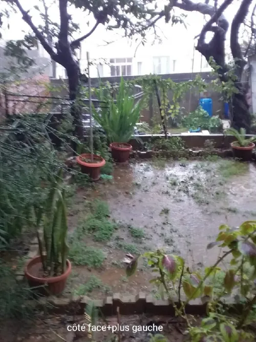 Vente Terrain Alger El madania