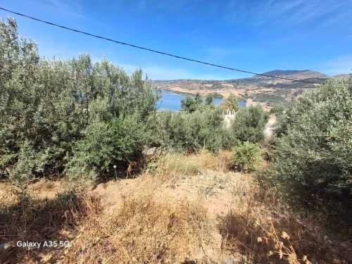 Vente Terrain Mila Grarem gouga