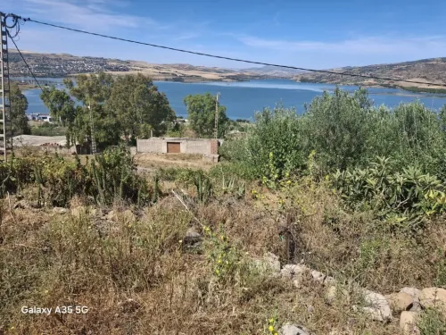 Vente Terrain Mila Grarem gouga
