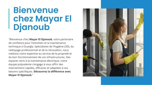 SERVICE DE NETTOYAGE , 3D, MAINTENANCE ET ENTRETIENT