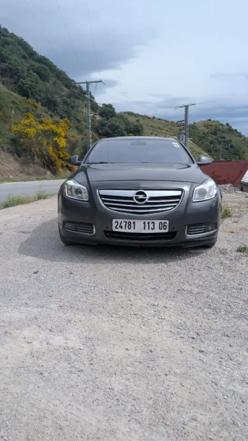 Opel Insignia 2013 OPC