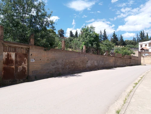 Vente Terrain Béjaïa El flaye