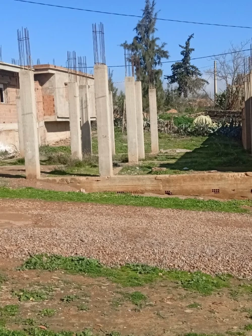 Vente Terrain Aïn Defla El attaf