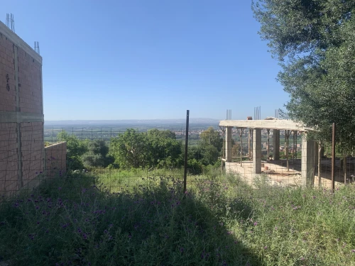 Vente Terrain Blida Bougara