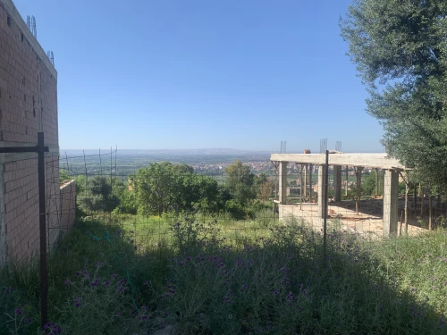 Vente Terrain Blida Bougara