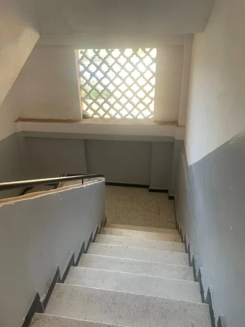 Vente Appartement F3 Tipaza Douaouda