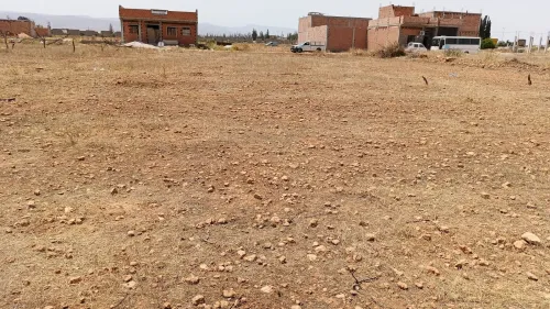 Vente Terrain Tlemcen Zenata