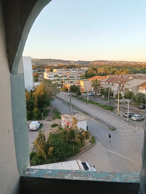 Location Alger Tessala el merdja