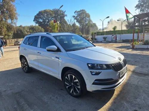 Skoda Karoq 2025 