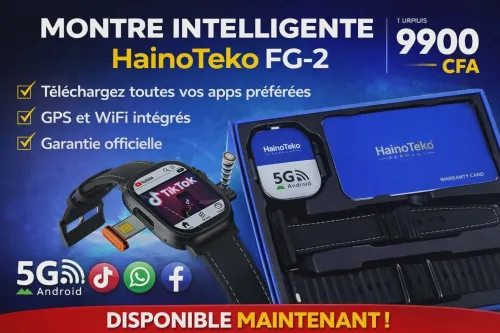 Haino teko fg-2
