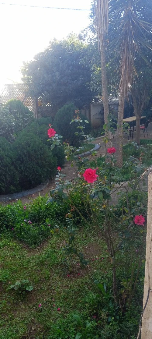Location Appartement Niveau de villa F7 Alger El biar