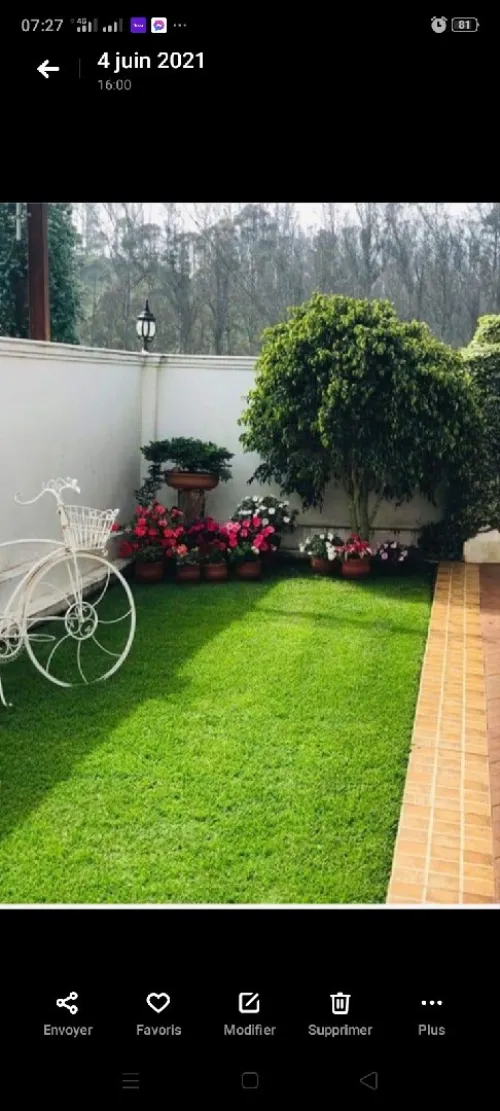 Location Appartement Alger Dely brahim