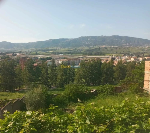 Vente Niveau De Villa F05 Tizi ouzou Tizi ouzou